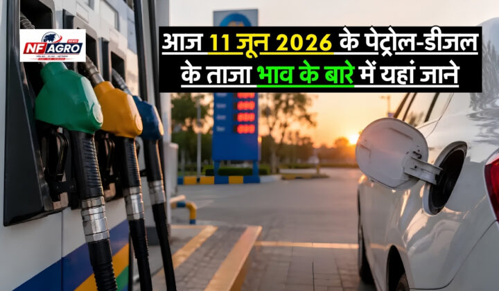 11 June Petrol-Diesel Price