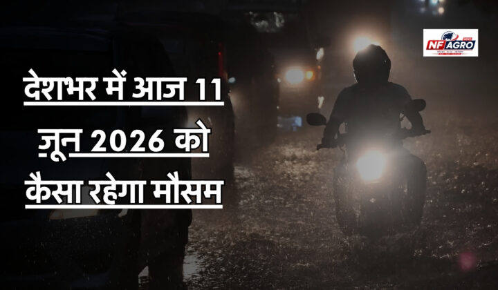 11 June Weather News