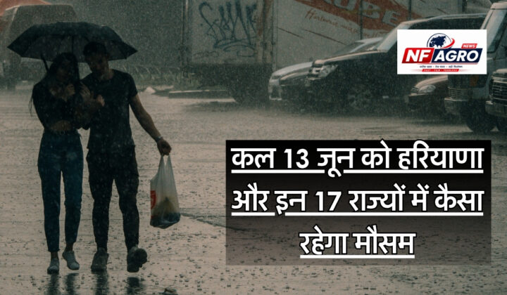 13 June Weather