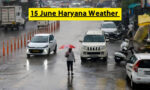 15 June Haryana Weather