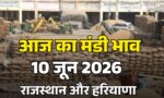 Aaj Ka Mandi Bhav 10 June 2026
