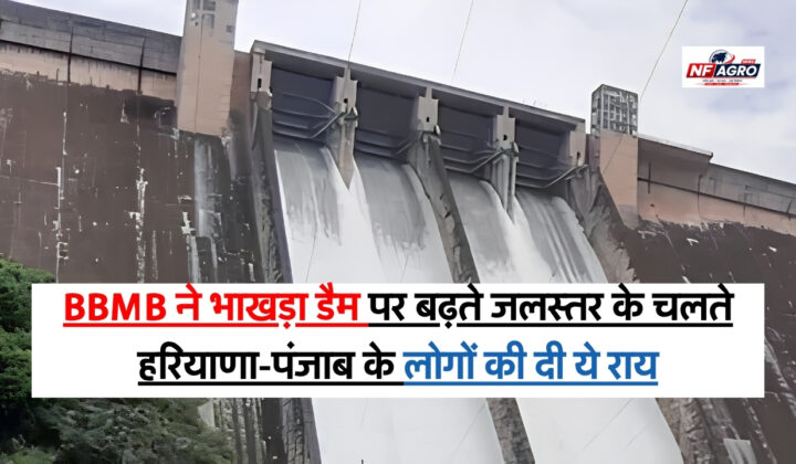 Bhakra Dam