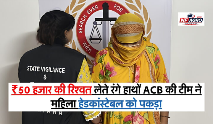 Bribe News