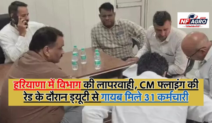CM Flying Raid