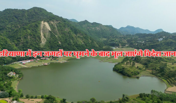 Haryana News