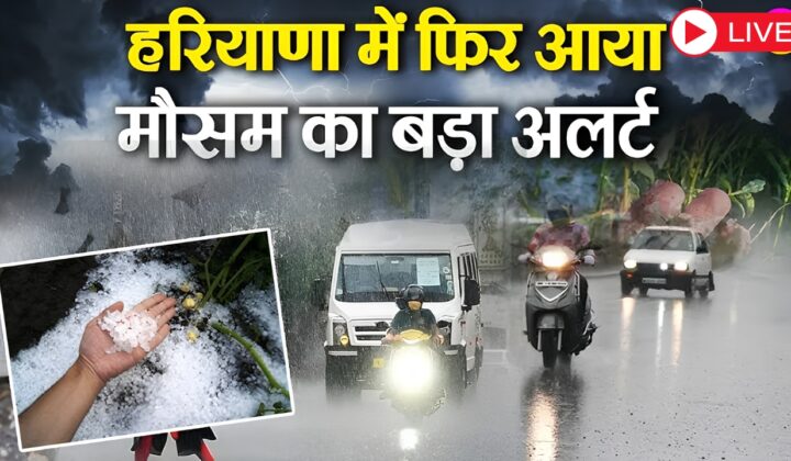 Haryana Rain News