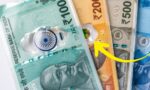 RBI Plastic Notes